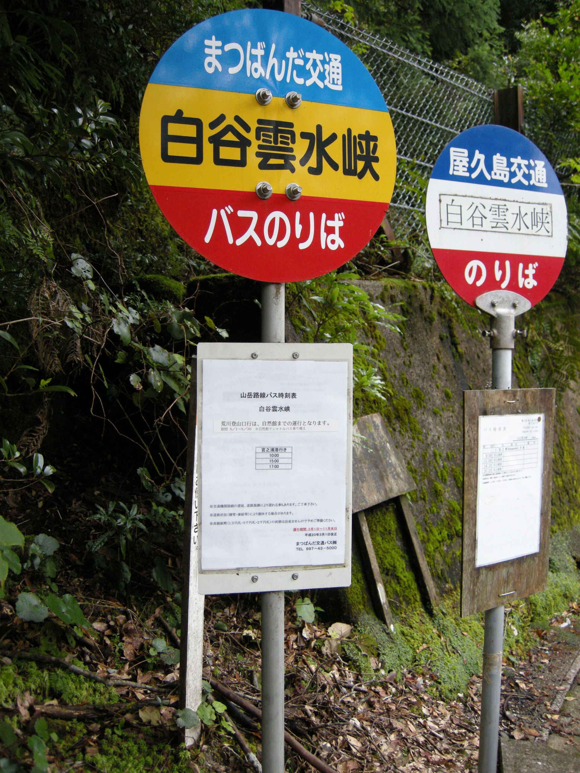 鹿児島県屋久島の白谷雲水峡のバス停