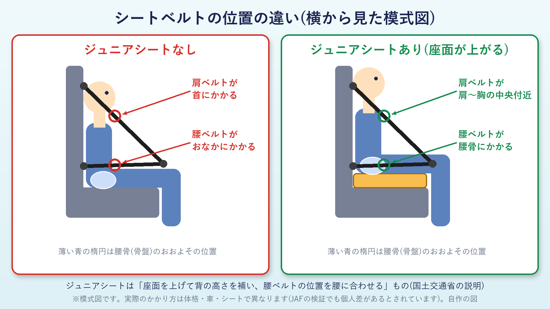 ジュニアシートなしとありでのシートベルトの位置の違い